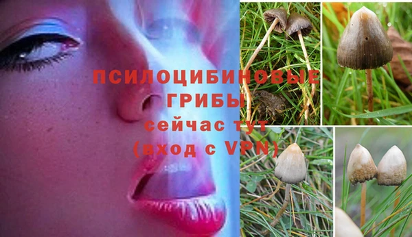 mix Горнозаводск