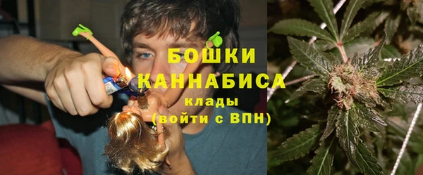дмт Горно-Алтайск