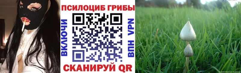 Псилоцибиновые грибы мухоморы Наро-Фоминск