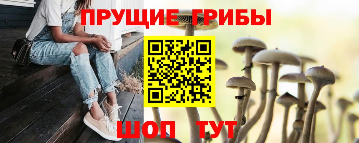 Псилоцибиновые грибы Psilocybine cubensis  что такое   Наро-Фоминск 