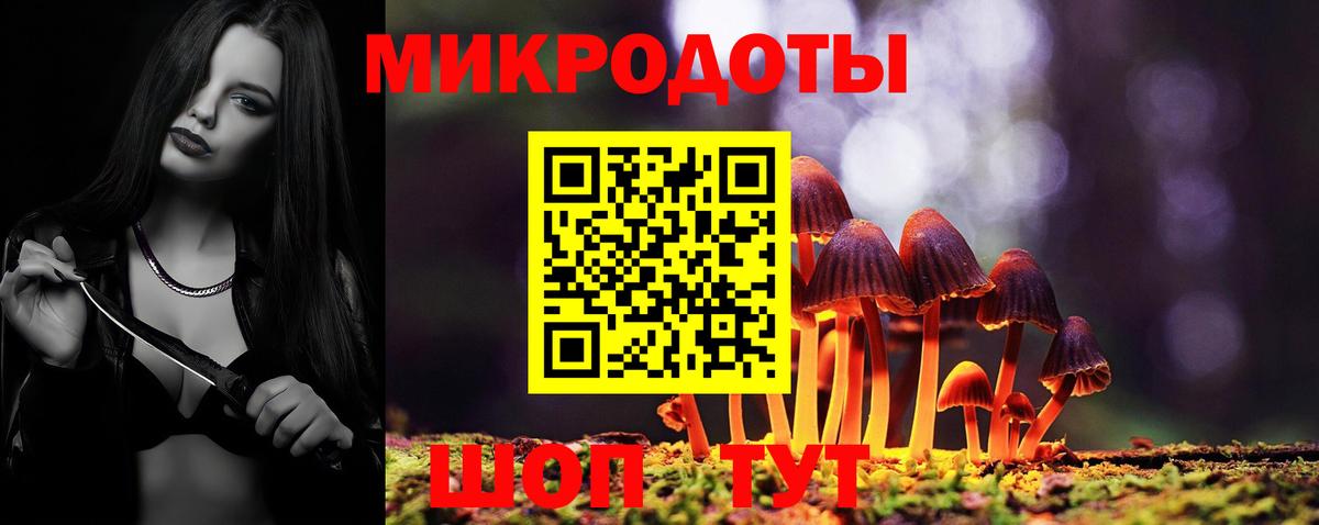 Псилоцибиновые грибы Cubensis Наро-Фоминск